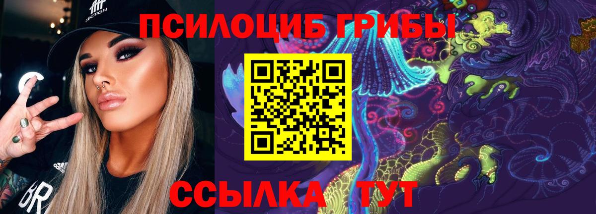 Галлюциногенные грибы Psilocybine cubensis Хабаровск