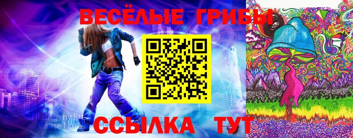 Хабаровск  Галлюциногенные грибы Magic Shrooms  Вход с VPN 